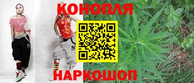 гашик Гусь-Хрустальный