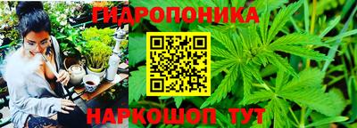 гашик Гусь-Хрустальный
