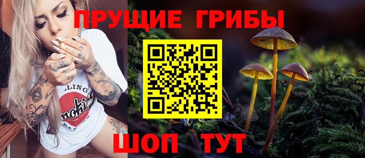 Псилоцибиновые грибы Psilocybe  Вход с VPN  Галлюциногенные грибы GOLDEN TEACHER  Медногорск 